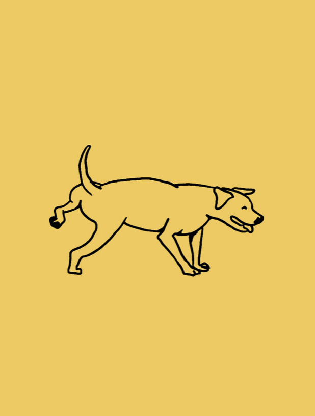 Fido Pizzeria Restaurant Boston ArnoldAnd architecture Concept that blends high design with a playful, community-driven ethos