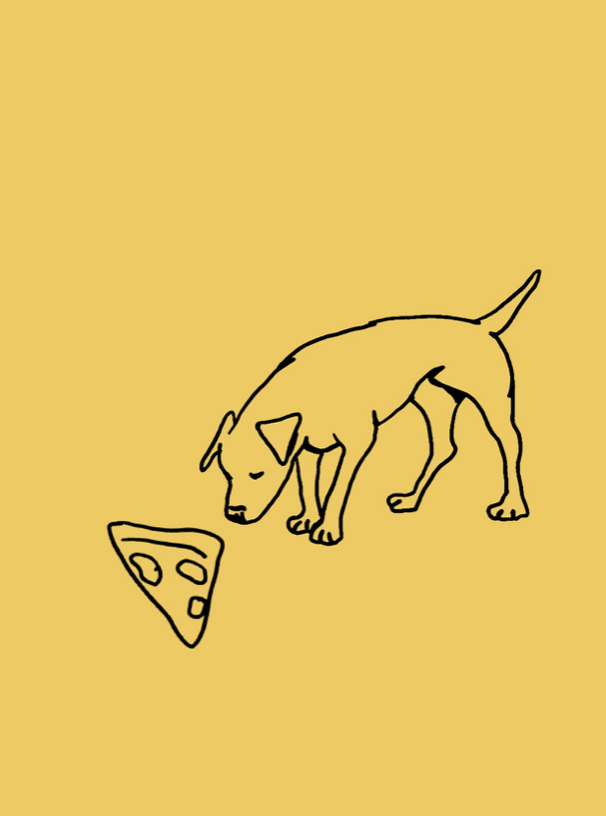 Fido Pizzeria Restaurant Boston ArnoldAnd architecture Concept that blends high design with a playful, community-driven ethos